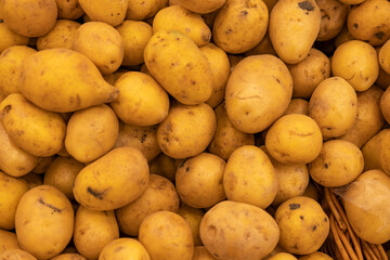 potatoes in a grocery store or market, with a shallow depth of field, top view, close up