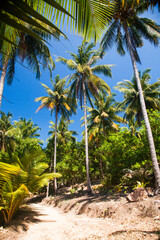 Obraz premium abstract background of vibrant palm trees in artificial light electric summer