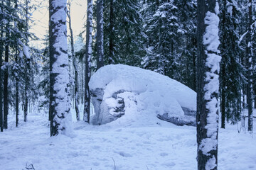 There is a large rock in the forest. February, 27. 2021.