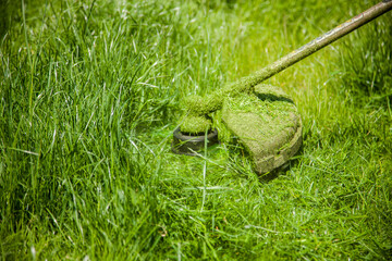 mowing a green lawn with a lawn mower