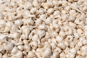 Jodhpur / India 29 October 2017 Garlic  bulbs ( Allium sativum) at Jodhpur market in Rajasthan India