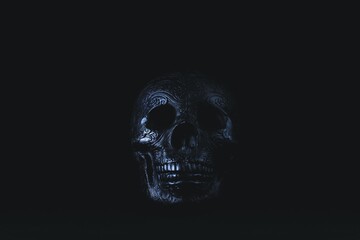 Black skull on black background with ornate decorative details for halloween prop