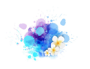 Abstract summer background with frangipani (plumeria) flowers on purple and blue colored watercolor splash