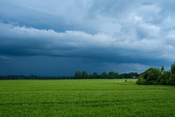 green meadow with storm clouds moving on