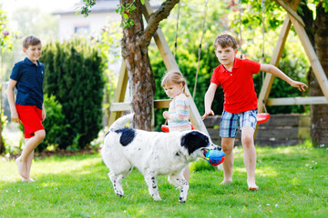 Obraz premium Two kids boys and little toddler girl playing with family dog in garden. Three children, adorable siblings having fun with dog. Happy family outdoors. Friendship between animal and kids