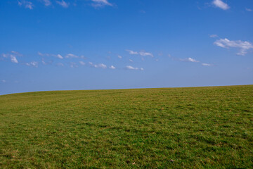 Fototapeta na wymiar A green meadow with a blue sky and a few clouds