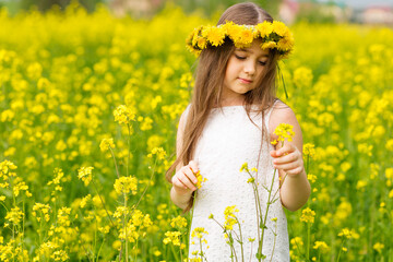 Beautiful girl in a rapeseed field. A child in a blooming field with yellow flowers. Plantation of yellow flowers