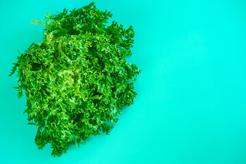 Bush of fresh green lettuce salad on green background