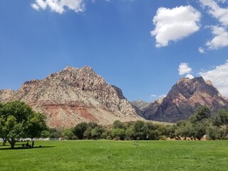 Fototapeta premium Red Rock Canyon Desert Landscape