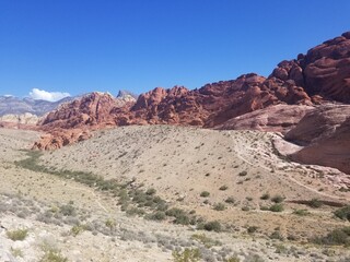 Red Rock Canyon Desert Landscape