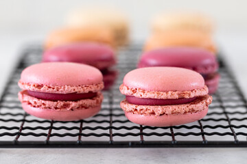 Pinke Macarons Closeup