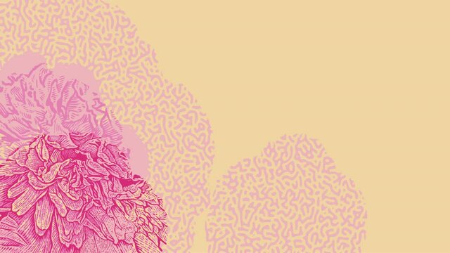 Psychedelic abstract background with pink flower . Engraved peony And Turing pattern.  Animated drawing, decorative video background.	