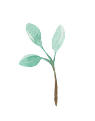 Watercolor leaf (branch with leaves) for decorative use of patterns, wedding and spring themes.