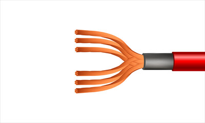 Twisted electric copper cable with red shield structure. 3d Rendering Vector realistic illustration isolated on white background.