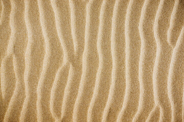 Top view of sandy beach and visible sand texture.