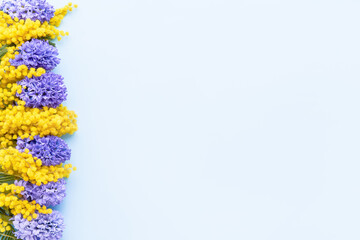 Mimosa and hyacinth flowers border on a blue background. Mothers day, Valentines Day, Birthday celebration concept.