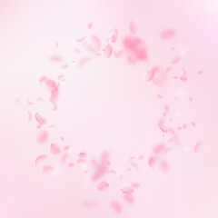 Sakura petals falling down. Romantic pink flowers vignette. Flying petals on pink square background.