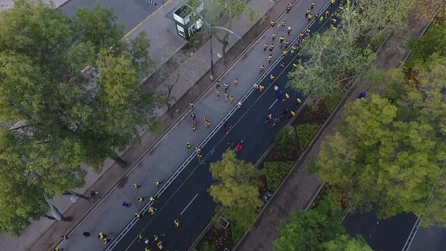 Corredores de marat&oacute;n en la ciudad.