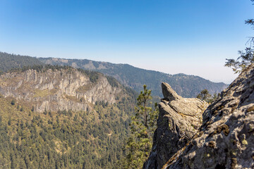landscape in the mountains
