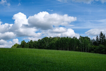 Obraz na płótnie Canvas green meadow with storm clouds moving on
