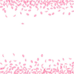 Sakura petals falling down. Romantic pink silky small flowers. Thick flying cherry petals. Borders a