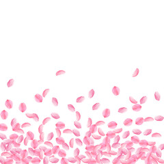 Fototapeta na wymiar Sakura petals falling down. Romantic pink bright medium flowers. Thick flying cherry petals. Scatter