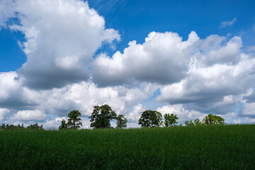 green meadow with storm clouds moving on