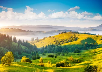 Foto op Canvas Great countryside landscape in morning light. Location place Carpathian mountains, Ukraine, Europe. © Leonid Tit