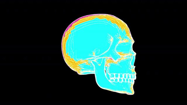Seamless animation of a skull isolated with alpha channel. Halftone cartoon background.