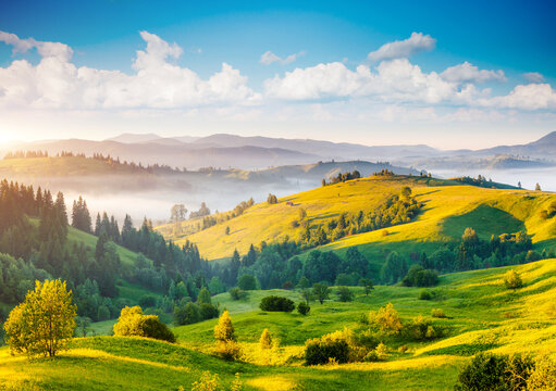 Great countryside landscape in morning light. Location place Carpathian mountains, Ukraine, Europe.