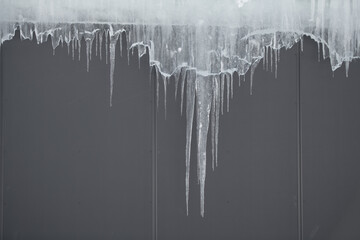 frozen icicles hanging from building on cold winter day beginning to melting in  warm sun depicting warmer weather of spring coming horizontal format room for type