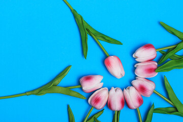 Obraz premium Spring flowers for a gift