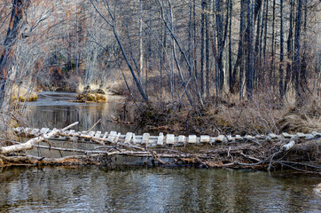 A dilapidated wooden bridge across the forest rechka.