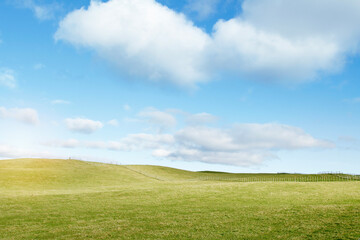 Grass and sky