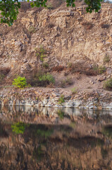 Steep bank abandoned quarry, stone slope with sparse bushes near the lake