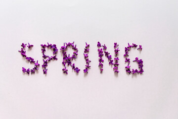 Spring creative. layout with the word Spring made of flowers, letters made of the lilac.