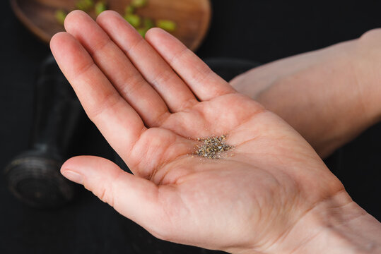 A woman holds a ground cardamom in her hand