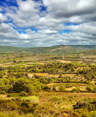 French agriculture