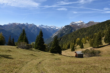 Am Brenner im Gschnitztal - Stadl mit Bergkulisse