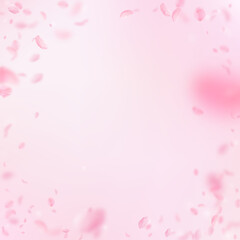 Sakura petals falling down. Romantic pink flowers vignette. Flying petals on pink square background.