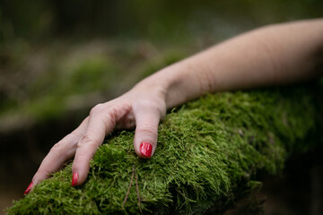 hands holding a moss
