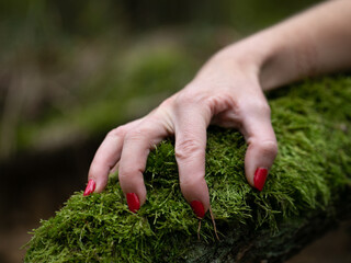 hands holding a moss