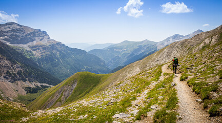 Hiker walking along a beautiful trail at high altitude in summer, surrounded by green meadows