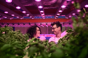 Workers on aquaponic farm, sustainable business and artificial lighting.