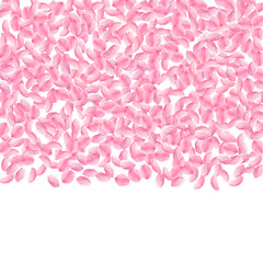 Fototapeta premium Sakura petals falling down. Romantic pink bright medium flowers. Thick flying cherry petals. Top gra