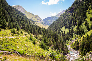 Beautiful postcard of a green valley in summer with trees and a river, surrounded by grass.