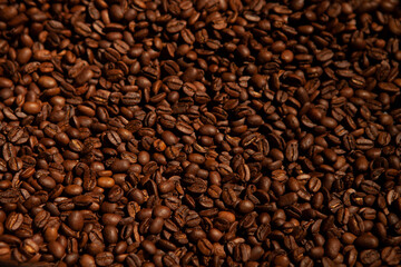 Roasted Coffee Beans
