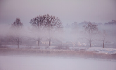 Obraz na płótnie Canvas there is winter fog in-field