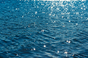 sea sparkles