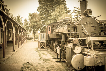 An aged photo of a 20th century steam engine locomotive train waiting at the station primarily for visitors